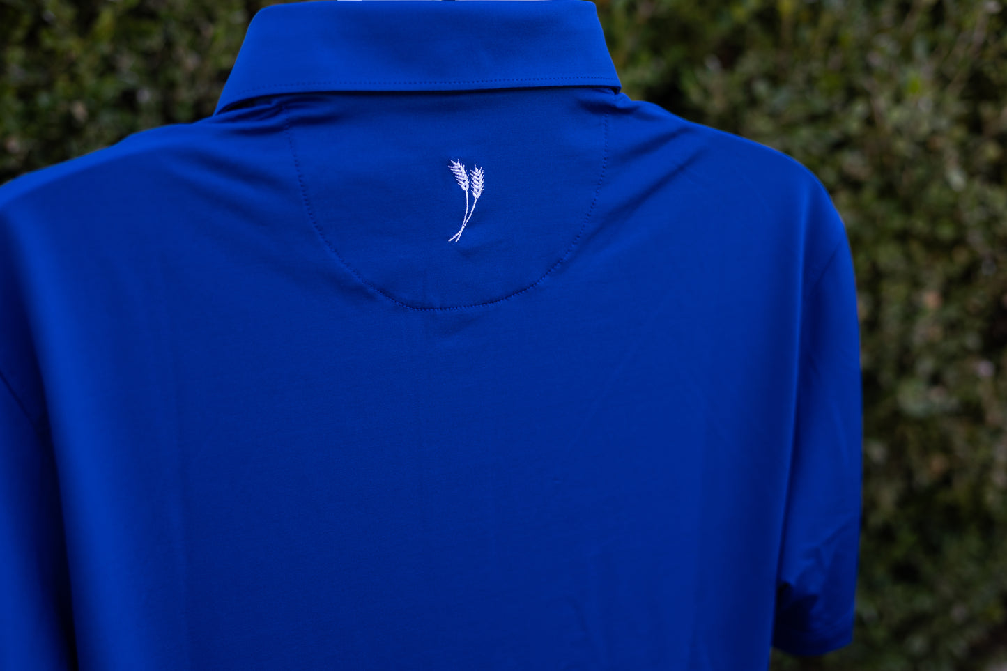 Solid Men's Polo