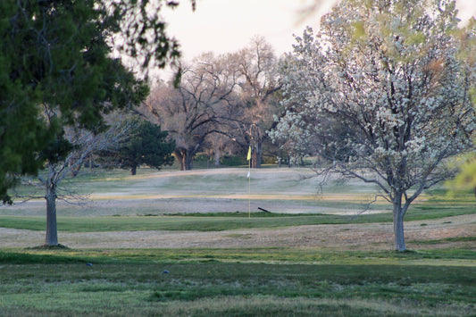 Arthur B. Sim Park Golf Course