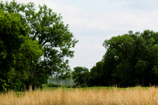 Americana Meets Golf: Turkey Creek Golf Course