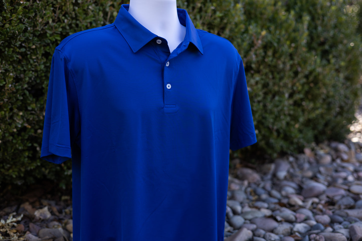 Solid Men's Polo