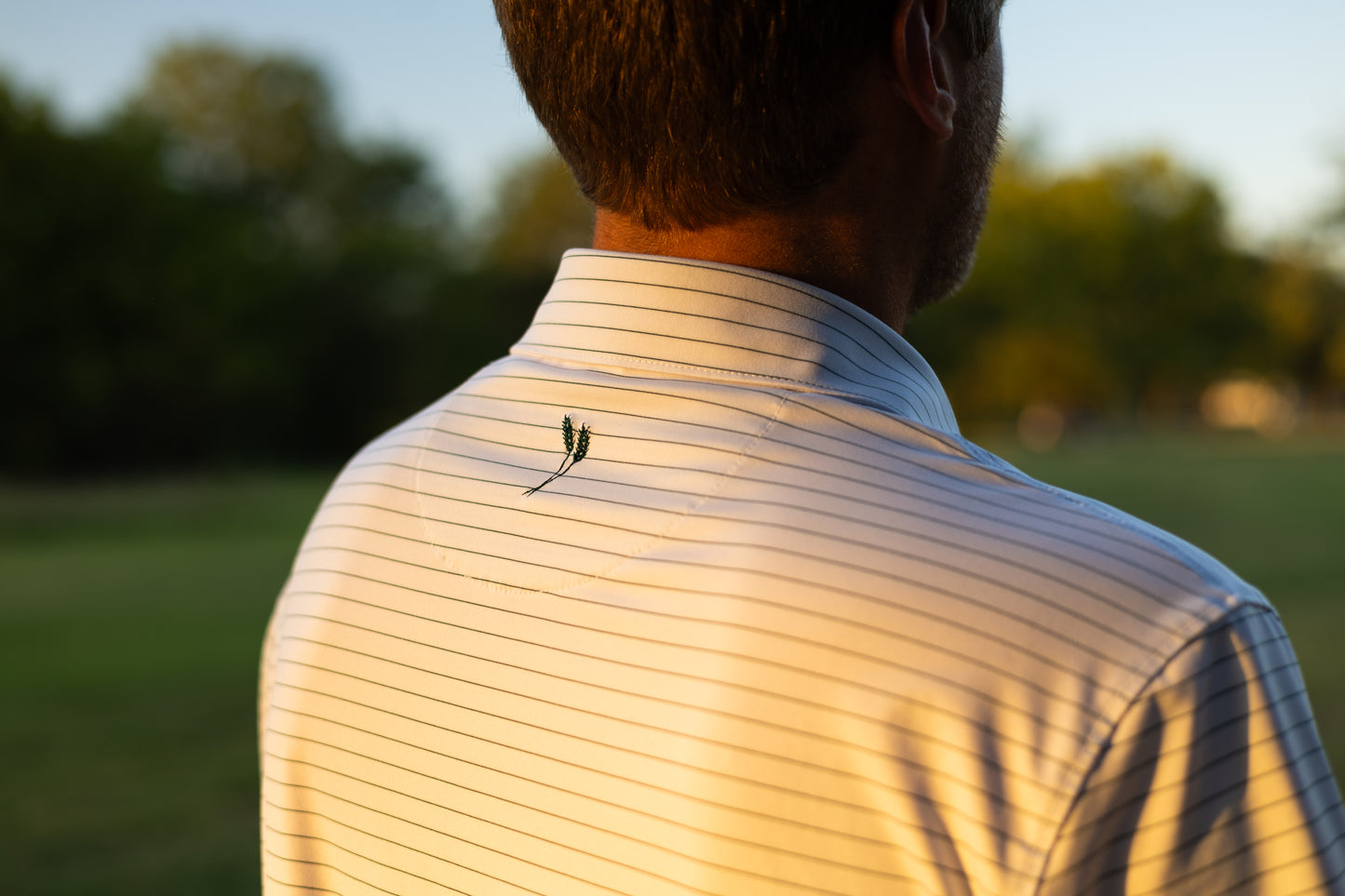 Open Road Stripe Men's Polo
